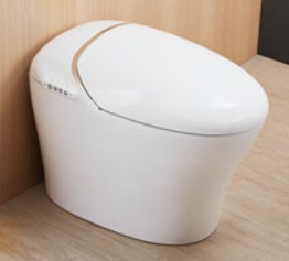 One-piece intelligent toilet seat