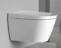 Intelligent Toilet
with Conceal Cistern