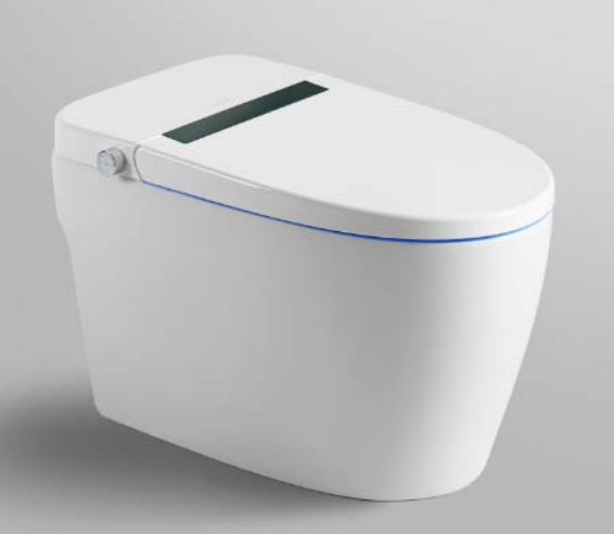 Intelligent Toilet