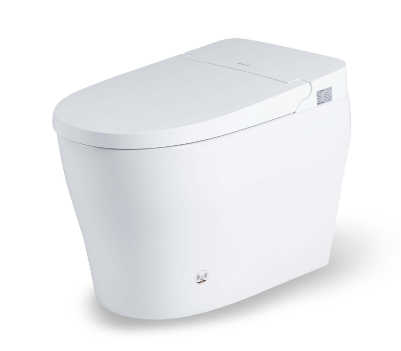 Intelligent Toilet