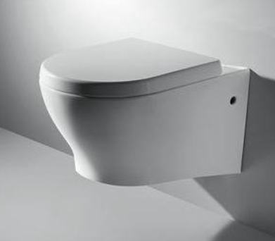 Rael Wall-hung Toilet