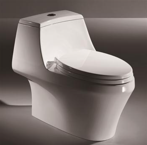 Parkel One-piece Toilet