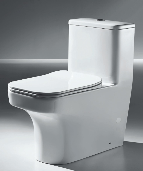 Meissen One-piece Toilet