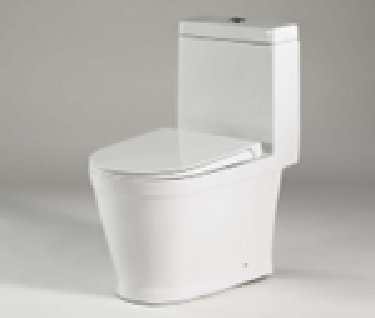 Living One-piece Toilet