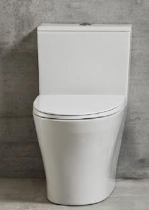 Affability One-piece Toilet