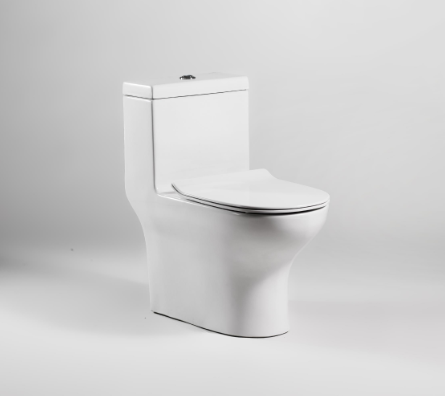 One-piece Toilet
(Rimless type)