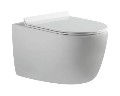 Wall-hung Toilet Rimless