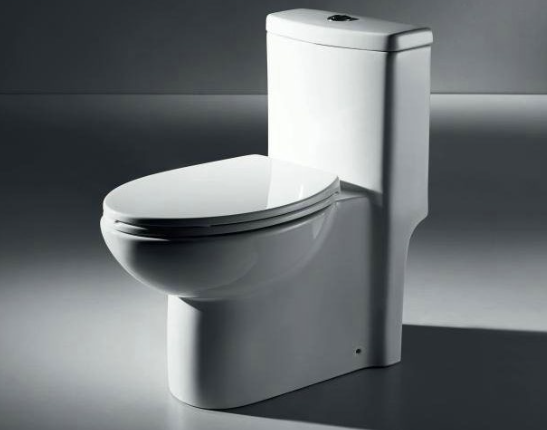 ECO One-piece Toilet