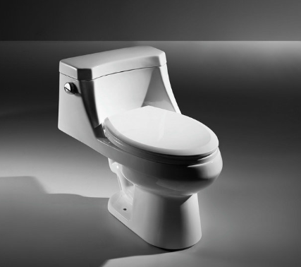 One-piece Toilet